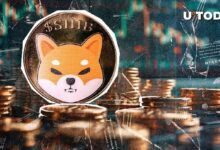 ¡Shiba Inu (SHIB) Estancado! Descubre Qué Sucede Entre 50 y 6 Trillones Ahora - Cripto Boom