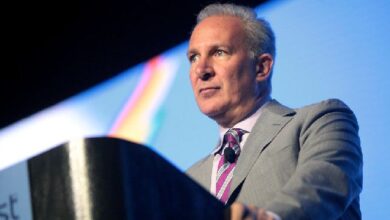 El Inversor Peter Schiff Insta a Comprar Sus Ordinals Mientras Bitcoin Aumenta ¡Actúa Ahora! - Cripto Boom