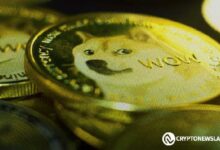 Gráfico de Precios DOGE Muestra Indicadores de un Gran Aumento: ¡El Precio de $1 DOGE Está Más Cerca! - Cripto Boom