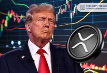 Descubre Cuánto Aumentó XRP Durante la Presidencia de Donald Trump - Cripto Boom