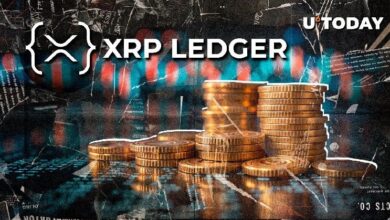 XRPL: Cuatro Grandes Actualizaciones que Transformarán el Ledger de XRP - Descubre las Novedades Ahora - Cripto Boom