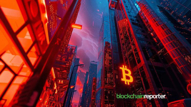 Inversor Cripto Gana $6.85M en Rally de $BTC con Estrategia de Trading - Descubre su Éxito - Cripto Boom