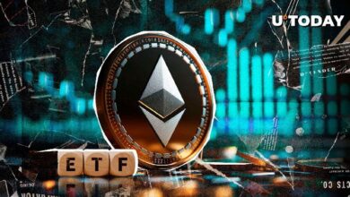 El ETF de Ethereum Valida la Tendencia de Ingresos: ¡Descubre la Reacción del Precio de ETH! - Cripto Boom