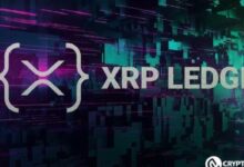 Lanzamiento del Oráculo de Precios XRPL: Potencia las Capacidades DeFi Institucionales en el Ledger XRP - ¡Descúbrelo Ahora! - Cripto Boom