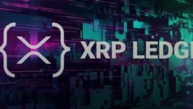 Lanzamiento del Oráculo de Precios XRPL: Potencia las Capacidades DeFi Institucionales en el Ledger XRP - ¡Descúbrelo Ahora! - Cripto Boom