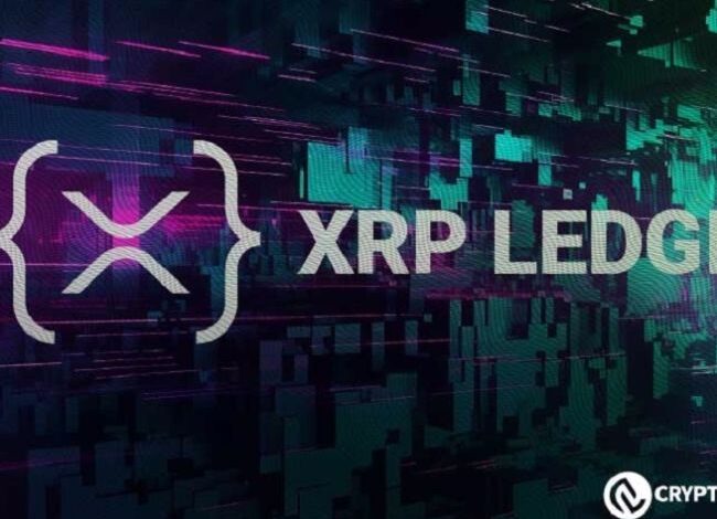 Lanzamiento del Oráculo de Precios XRPL: Potencia las Capacidades DeFi Institucionales en el Ledger XRP - ¡Descúbrelo Ahora! - Cripto Boom