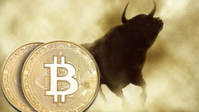 ¿Qué Esperar Después del Gran Rally del Precio de Bitcoin? Descubre lo que Dicen los Expertos - Cripto Boom