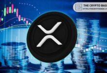 Expertos Predicen que 100 XRP Inactivos Podrían Valer $13,000,003 en 10 Años. ¡Descubre Más! - Cripto Boom