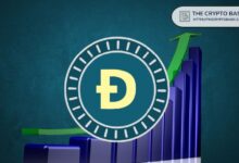 Dogecoin en una Encrucijada Crítica: Descubre Hacia Dónde Podría Ir el Precio de DOGE en las Próximas Semanas - Cripto Boom