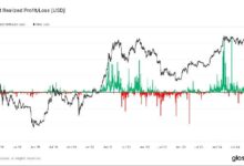 Descubre por qué Bitcoin alcanzará un nuevo récord: Van Straten - Cripto Boom