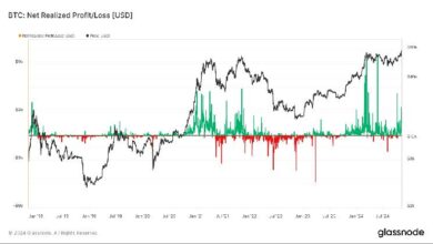 Descubre por qué Bitcoin alcanzará un nuevo récord: Van Straten - Cripto Boom