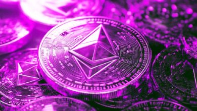 Trader Cripto Afirma que un Altcoin del Top-50 Podría Subir Más del 100%: Actualización sobre Bitcoin y Ethereum – Descubre Más - Cripto Boom