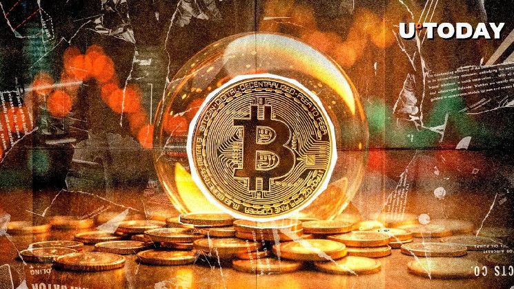 ¿Bitcoin Alcanzará los $740,000? El CEO de Pantera Capital Revela Predicción sobre BTC - Descúbrelo Aquí - Cripto Boom