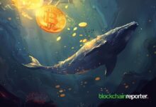 Las Ballenas de Bitcoin Siguen Acumulando mientras el Precio Cae por Debajo de $70,000 - ¡Descubre por Qué! - Cripto Boom