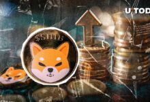 ¡100 Nuevos Ballenas de Shiba Inu (SHIB) en 24 Horas: Descubre Qué Está Sucediendo! - Cripto Boom