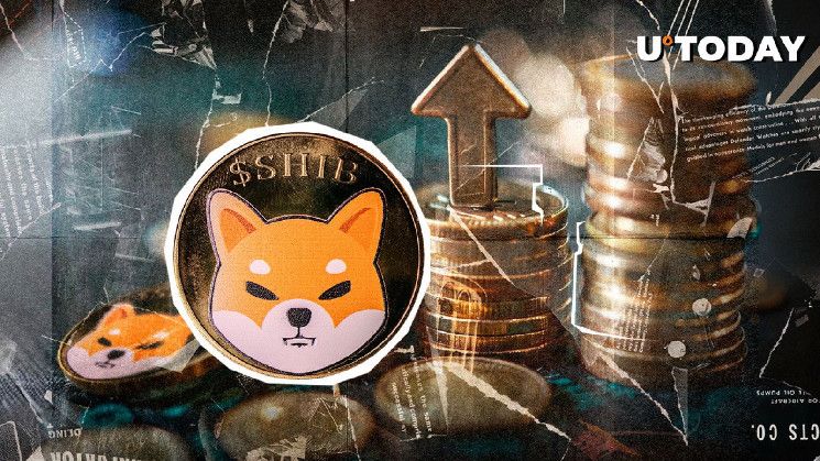 ¡100 Nuevos Ballenas de Shiba Inu (SHIB) en 24 Horas: Descubre Qué Está Sucediendo! - Cripto Boom