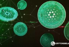 Cardano Hydra Lanza Campaña de Prueba Gamificada: Descubre cómo Responde el Precio de ADA - Cripto Boom