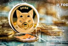 4.78 Billones de SHIB en 24 Horas: ¡Descubre Qué Está Sucediendo! - Cripto Boom