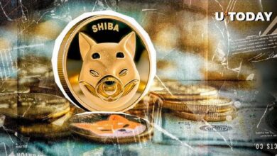 4.78 Billones de SHIB en 24 Horas: ¡Descubre Qué Está Sucediendo! - Cripto Boom