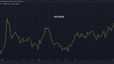 "¡Explora la Volatilidad de Bitcoin que Aumenta a Niveles Récord Antes de la Elección en EE. UU.!" - Cripto Boom