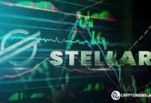 Stellar Aumenta en Transacciones Diarias: Descubre el Potencial Destacado por Jed McCaleb - Cripto Boom