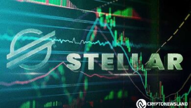 Stellar Aumenta en Transacciones Diarias: Descubre el Potencial Destacado por Jed McCaleb - Cripto Boom