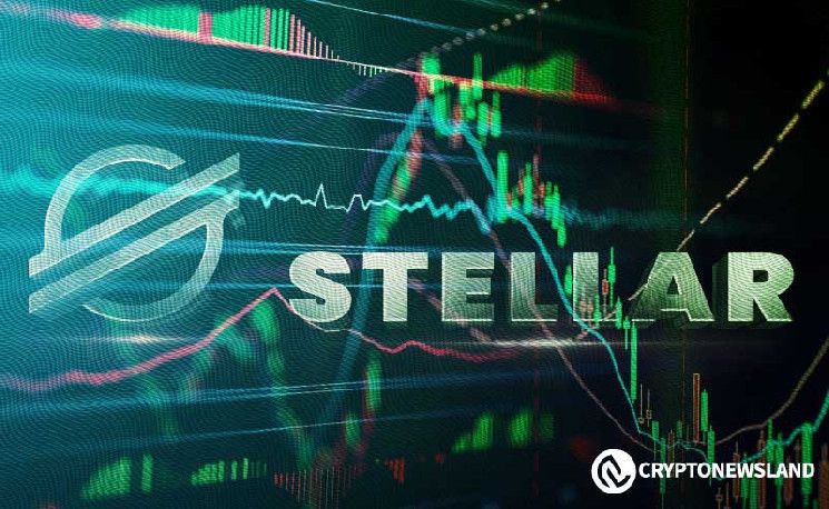 Stellar Aumenta en Transacciones Diarias: Descubre el Potencial Destacado por Jed McCaleb - Cripto Boom