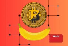 Bananas, Bitcoin y el auge del lujo inútil: descubre la obsesión por las etiquetas de precio - Cripto Boom