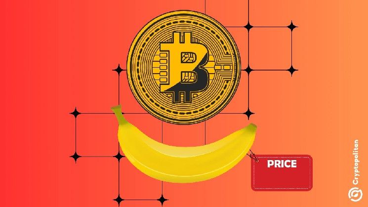 Bananas, Bitcoin y el auge del lujo inútil: descubre la obsesión por las etiquetas de precio - Cripto Boom