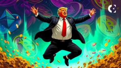 FOMO en el Mercado Cripto se Intensifica: La Victoria de Trump Impulsa los Precios - ¡Descubre por qué! - Cripto Boom