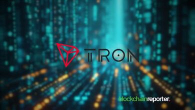 La Red TRON Registra un Asombroso Incremento del 1928% en Volumen Desde Octubre 2023: ¡Descubre Más! - Cripto Boom