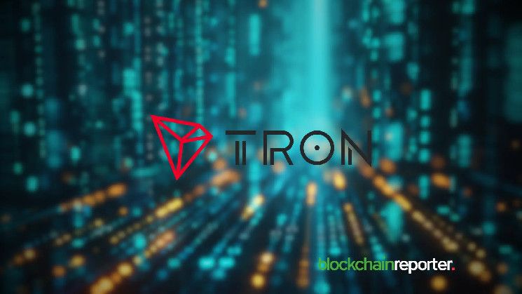 La Red TRON Registra un Asombroso Incremento del 1928% en Volumen Desde Octubre 2023: ¡Descubre Más! - Cripto Boom