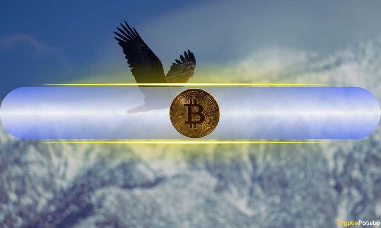 ¡Bitcoin (BTC) Alcanza Nuevo Récord Histórico Cerca de $94K! La Recuperación Alcista Continúa - Cripto Boom