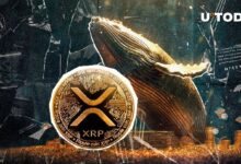 ¡XRP Aumenta $81.5 Millones en Actividad de Ballenas Alcistas en Solo Dos Días! - Cripto Boom