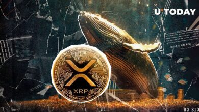 ¡XRP Aumenta $81.5 Millones en Actividad de Ballenas Alcistas en Solo Dos Días! - Cripto Boom