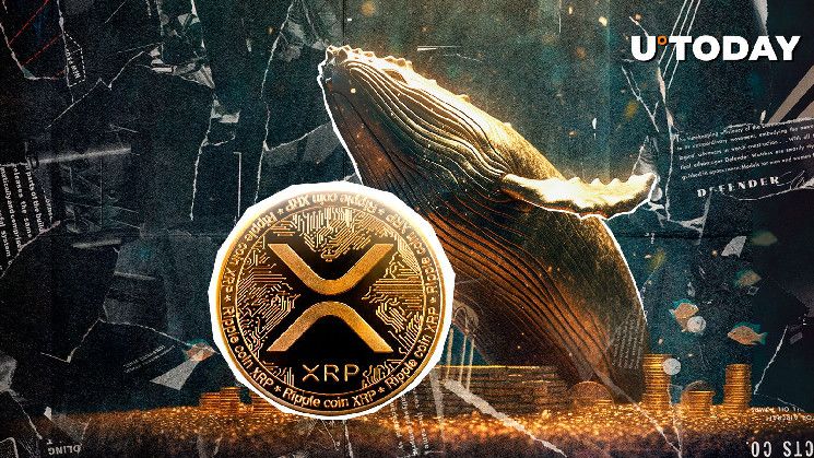 ¡XRP Aumenta $81.5 Millones en Actividad de Ballenas Alcistas en Solo Dos Días! - Cripto Boom