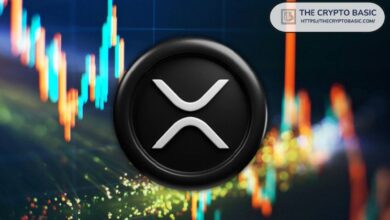 Analistas Destacados Predicen Que XRP Despegará Pronto Tras Reciente Caída - ¡Descubre Más! - Cripto Boom