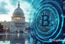 Se prevé volatilidad mientras Bitcoin se acerca a $100k: CMO de OKX - Descubre más ahora - Cripto Boom