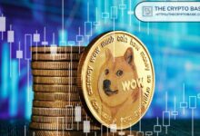 Brandt Afirma que Dogecoin Sigue la Trayectoria de BTC en 2016: Descubre el Potencial Alcista de DOGE - Cripto Boom