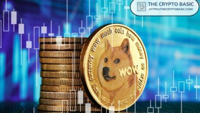 Brandt Afirma que Dogecoin Sigue la Trayectoria de BTC en 2016: Descubre el Potencial Alcista de DOGE - Cripto Boom