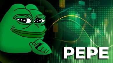 PEPE Entra en Corrección: Descubre las Claves para un Posible Rebote - Cripto Boom