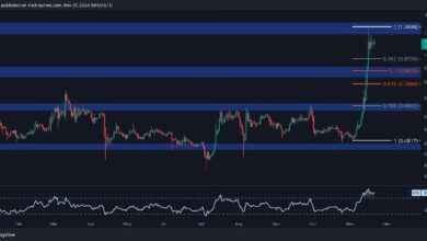 Análisis de Precio de Ripple: ¿Está XRP al Borde de una Enorme Subida? Descúbrelo Ahora - Cripto Boom