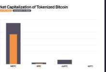 GRÁFICO: ¡Descubre el crecimiento de los competidores de WBTC! - Cripto Boom