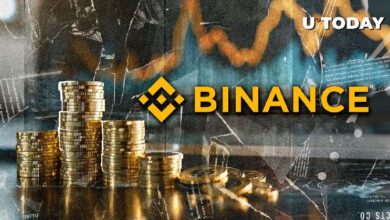 ¡El Interés Abierto Neto de Binance Alcanza un Nuevo Récord Histórico! - Cripto Boom