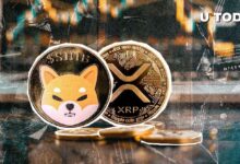 SHIB Supera a XRP: ¡Rally del 20% Deja Atrás el 4% de XRP! - Cripto Boom