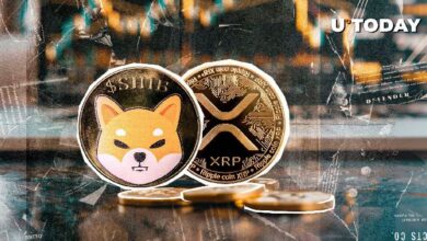 SHIB Supera a XRP: ¡Rally del 20% Deja Atrás el 4% de XRP! - Cripto Boom