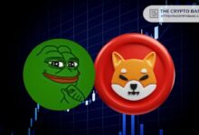 ¡PEPE puede dispararse un 858% para replicar la explosión de Shiba Inu en 2021 tras cotizar en Coinbase! Descubre cómo - Cripto Boom