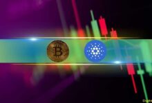 Cardano (ADA) se Dispara un 14%, Bitcoin (BTC) se Mantiene por Encima de $93K Tras Nuevo ATH: ¡Descubre las Últimas Tendencias del Mercado! - Cripto Boom