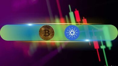 Cardano (ADA) se Dispara un 14%, Bitcoin (BTC) se Mantiene por Encima de $93K Tras Nuevo ATH: ¡Descubre las Últimas Tendencias del Mercado! - Cripto Boom