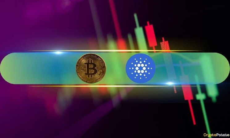 Cardano (ADA) se Dispara un 14%, Bitcoin (BTC) se Mantiene por Encima de $93K Tras Nuevo ATH: ¡Descubre las Últimas Tendencias del Mercado! - Cripto Boom